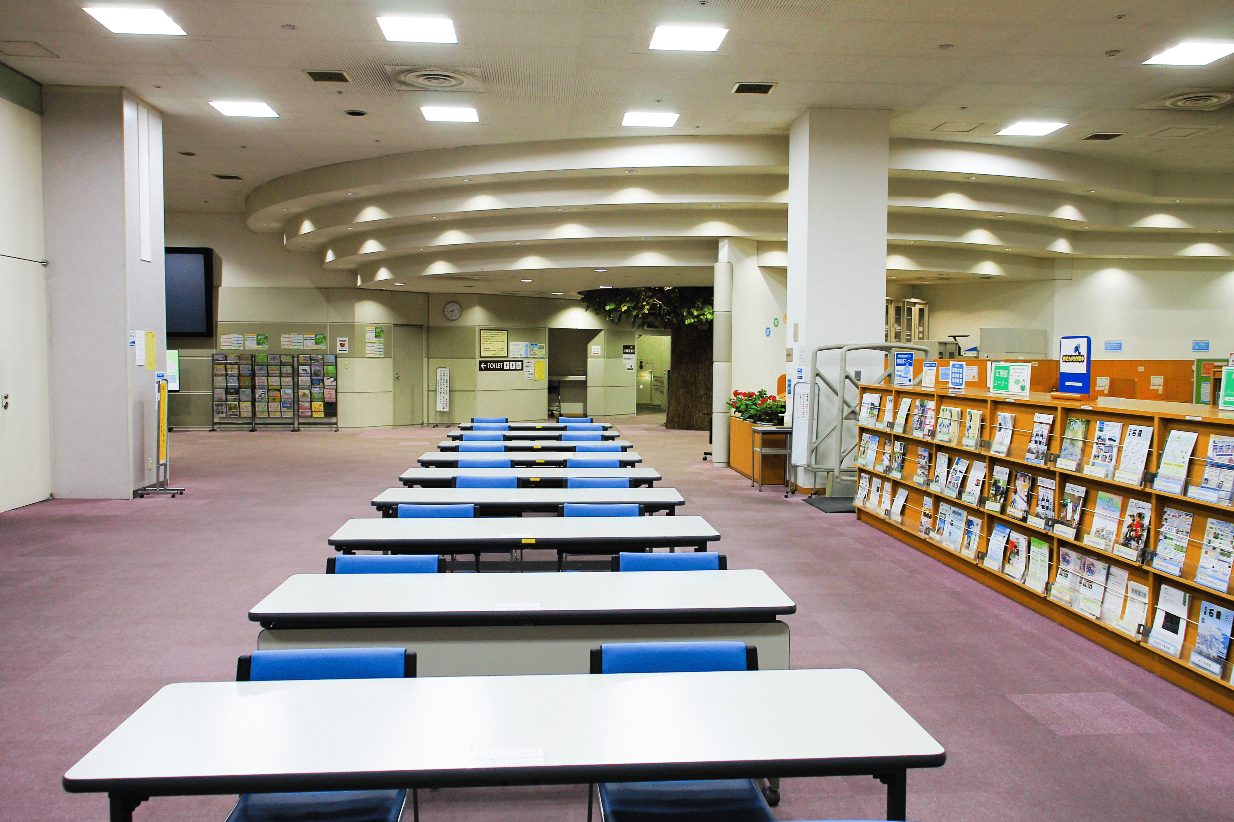 学習コーナー
