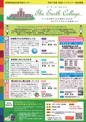 チラシ